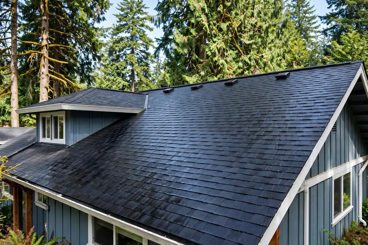 Freshly soft-washed moss-free roof on a Shoreline home